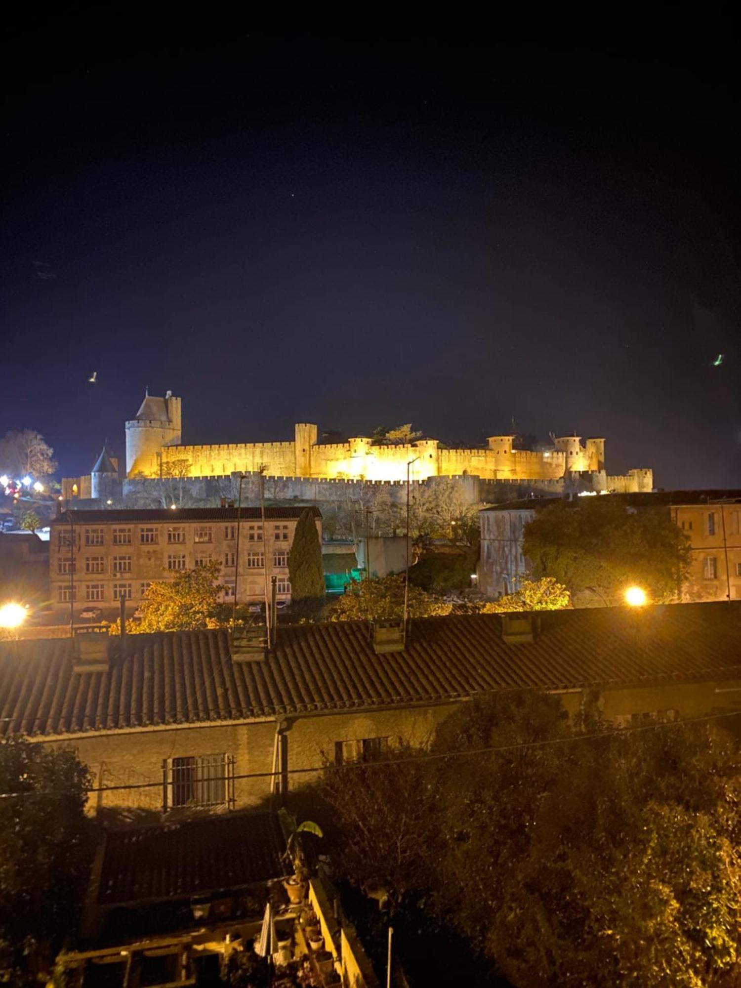 Maison Face A La Cite Каркасон Екстериор снимка